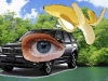 pychic-banana-forester