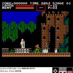 CastleVania Front Door click here to play now!