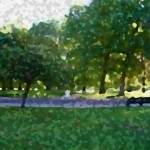Park with Dog