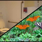 Starbucks Corona del Mar - Bathroom UPGRADED