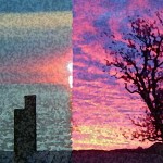 The Sounds of Birds in the Dawn