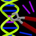 genetic-change genetic-modification