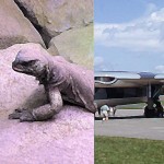 Stealth Camouflage Disguise