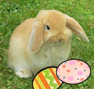 Easter Bunny