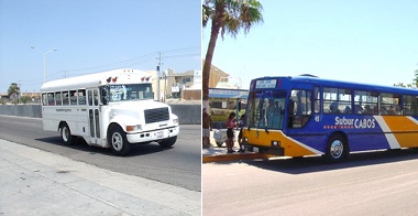 The two types of buses in Cabo