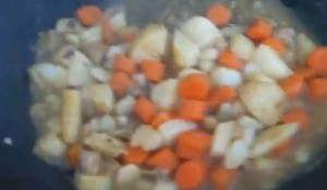 Yellow Curry: Mushrooms and Carrots and Also White Potatoes