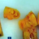 Heirloom Tomatoes - DE LISH OUS